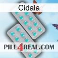 Cidala 29